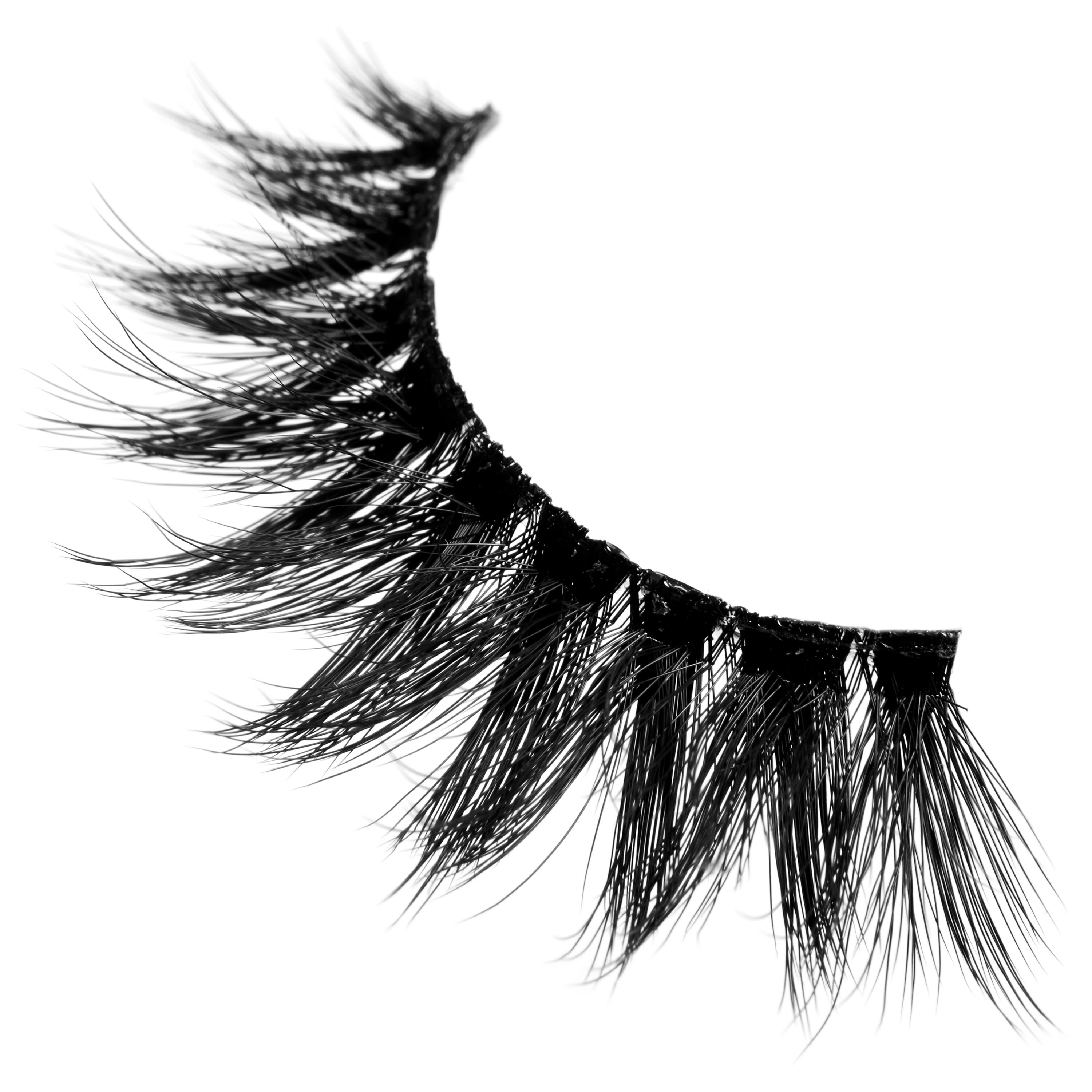 Jumbo Lash! Vegan False Eyelashes