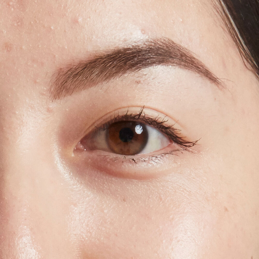 Dip, Shape, Go! Longwear Brow Pomade