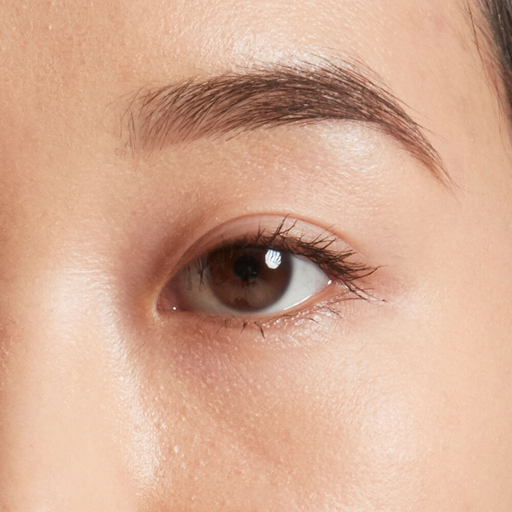 Dip, Shape, Go! Longwear Brow Pomade