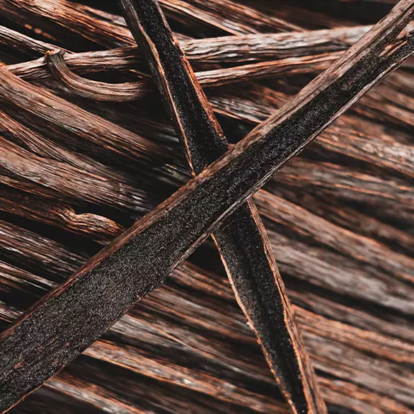 Close-up of chopped sandalwood representing one of the bottom notes in the Coconut Cutie fragrance.