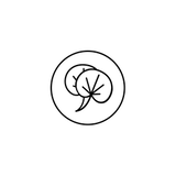 Cica
