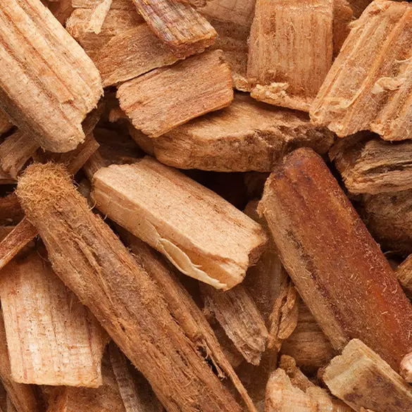 Close-up shot of cedarwood to represent one of the bottom notes in Suga Baddie fragrance.