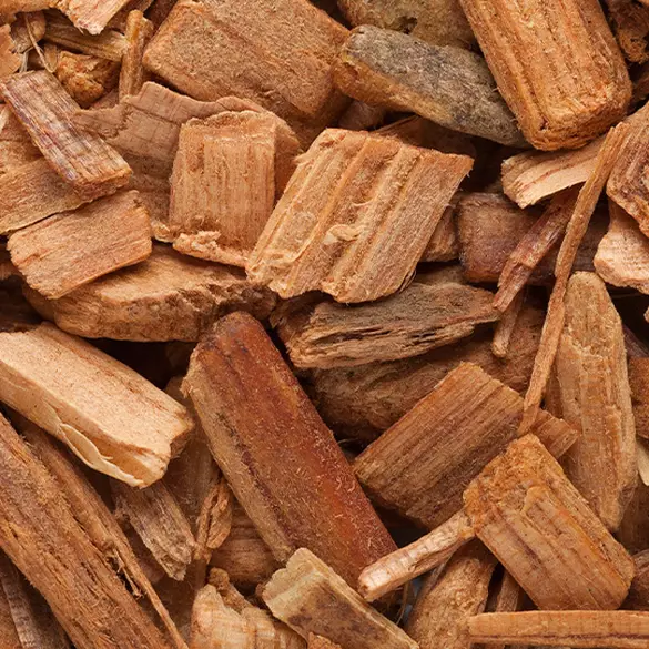 Close-up shot of soft cedarwood to represent one of the bottom notes in Caramelt Mami fragrance.