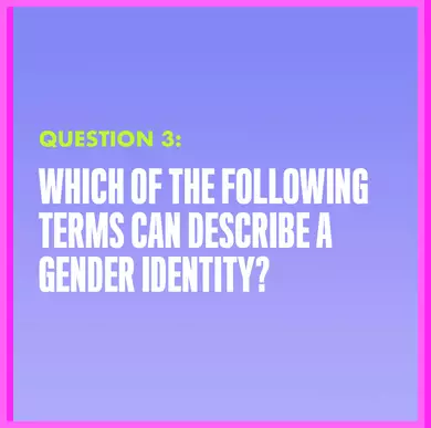 Question 3: WHICH OF THE FOLLOWING TERMS CAN DESCRIBE A GENDER IDENTITY?