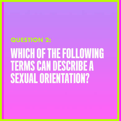 Question 2: WHICH OF THE FOLLOWING TERMS CAN DESCRIBE A SEXUAL ORIENTATION?