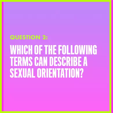 Question 2: WHICH OF THE FOLLOWING TERMS CAN DESCRIBE A SEXUAL ORIENTATION?